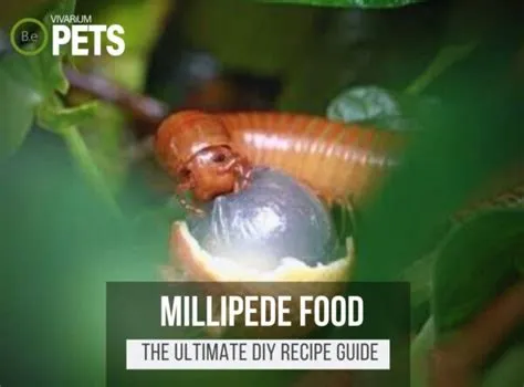  Ringworm Millipede: This Curious Arthropod With Hundreds Of Legs Embarks On An Epic Journey For Food!